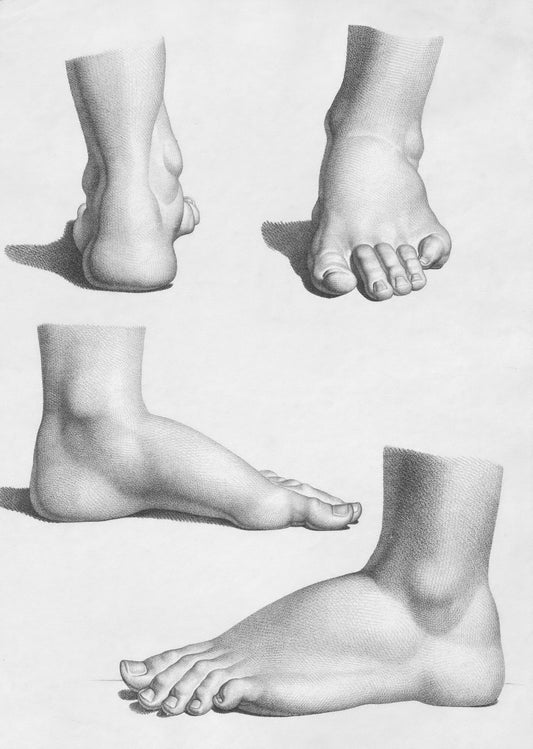 Four detailed anatomical drawings of a human foot.